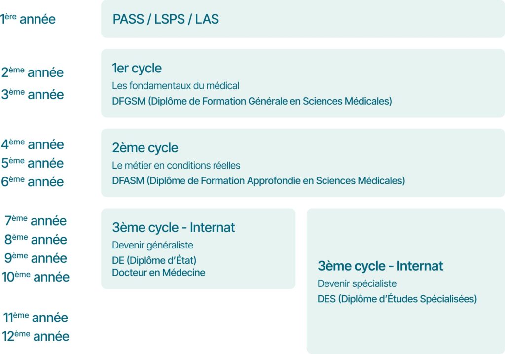 Les 3 cycles des études de médecine - Médisup Groupe